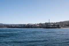 DSC0540