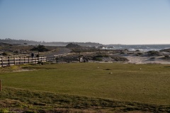DSC0575